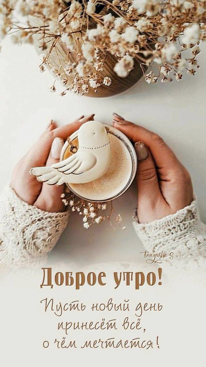 https://forumupload.ru/uploads/0012/6e/7d/1850/346454.jpg