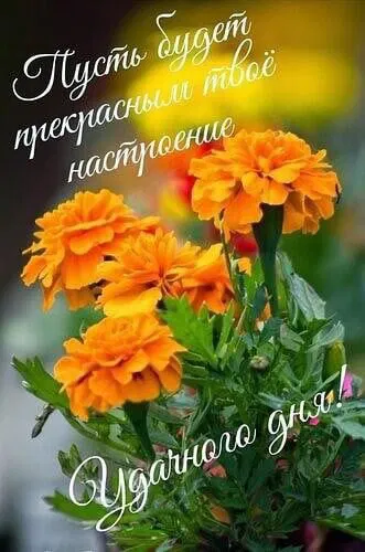 https://forumupload.ru/uploads/0012/6e/7d/1850/525786.webp