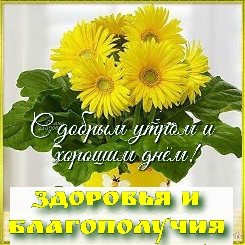 https://forumupload.ru/uploads/0012/6e/7d/1850/575309.jpg