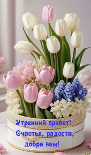 https://forumupload.ru/uploads/0012/6e/7d/1850/959221.jpg