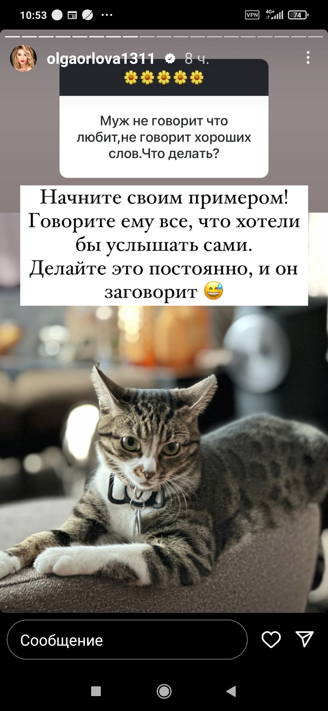 https://forumupload.ru/uploads/0012/6e/7d/840/156156.jpg