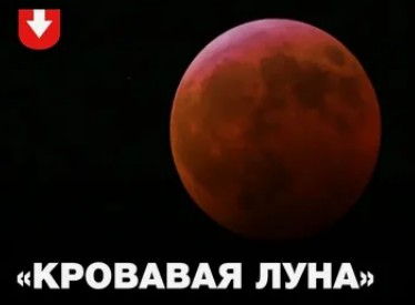 https://forumupload.ru/uploads/0012/d6/0d/2353/130994.jpg