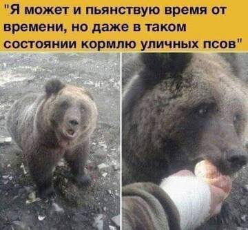 https://forumupload.ru/uploads/0012/d6/0d/887/t333193.jpg
