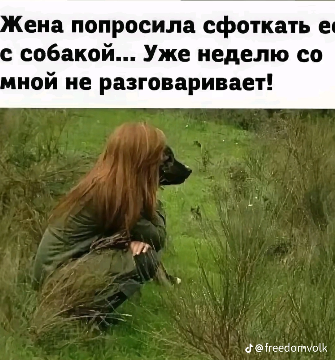 https://forumupload.ru/uploads/0012/fa/8d/54/550194.webp