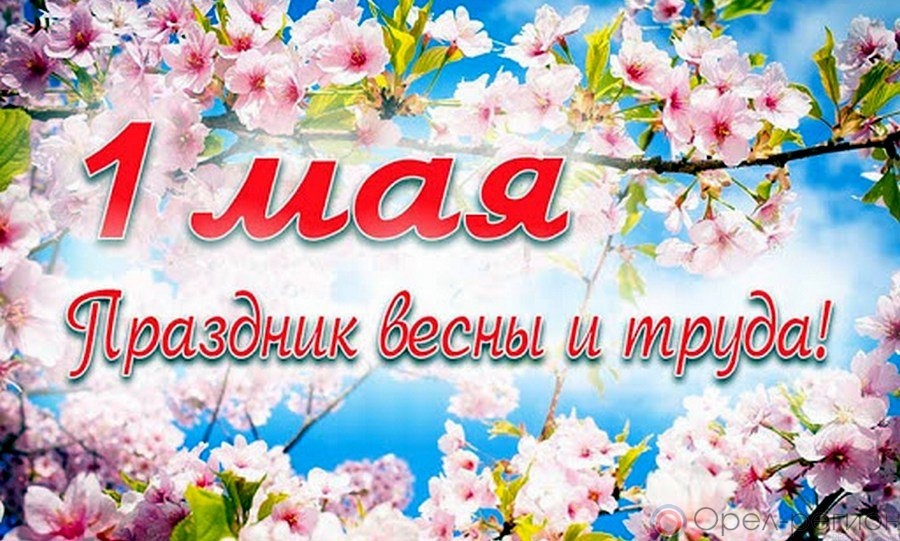 https://forumupload.ru/uploads/0012/fa/8d/58/161206.jpg