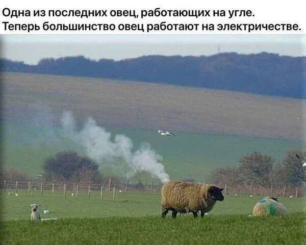 https://forumupload.ru/uploads/0013/1f/fe/105/t198759.jpg