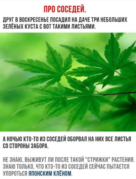 https://forumupload.ru/uploads/0013/1f/fe/105/t272851.jpg