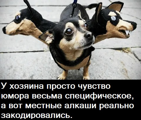 https://forumupload.ru/uploads/0013/1f/fe/105/t445259.jpg