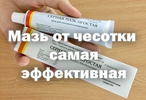https://forumupload.ru/uploads/0013/1f/fe/76/274758.jpg