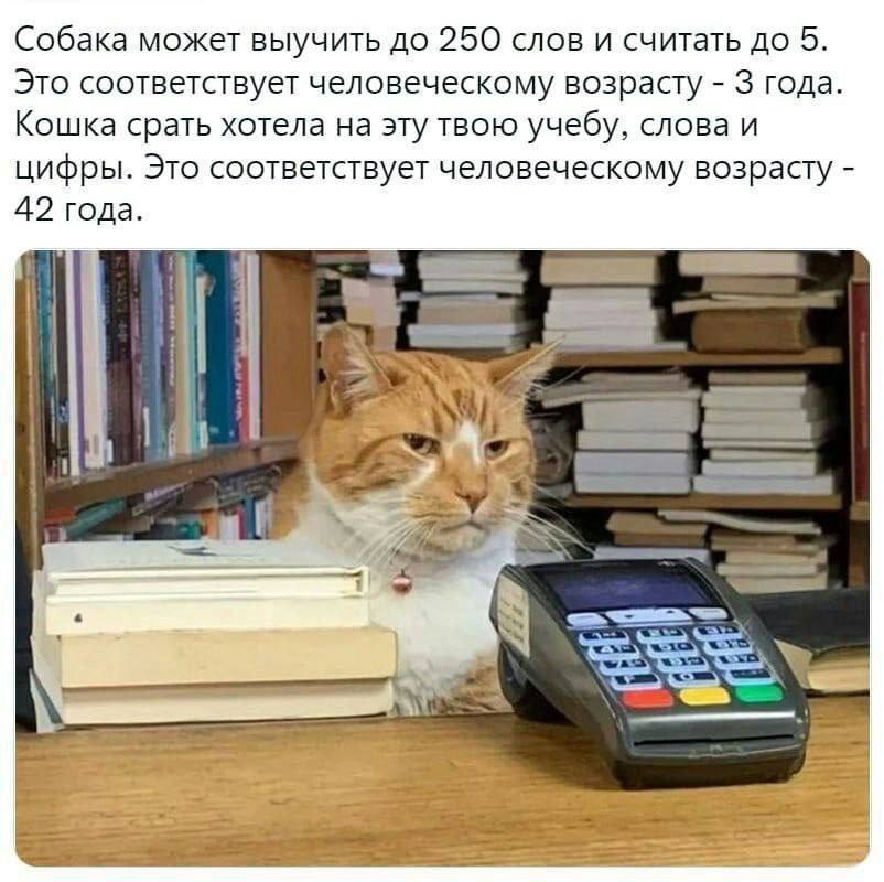 https://forumupload.ru/uploads/0013/1f/fe/76/909924.jpg