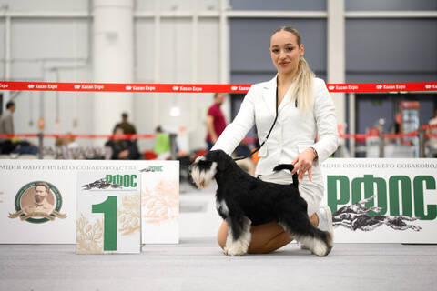 https://forumupload.ru/uploads/0013/26/e2/2/t715479.jpg
