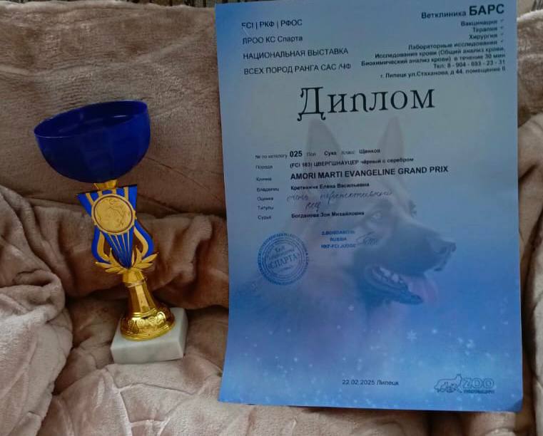 https://forumupload.ru/uploads/0013/26/e2/64/163370.jpg