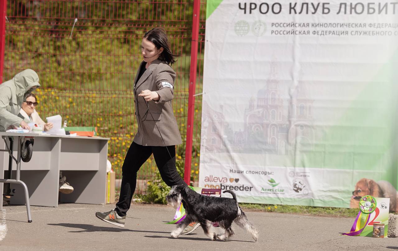 https://forumupload.ru/uploads/0013/26/e2/64/574759.jpg