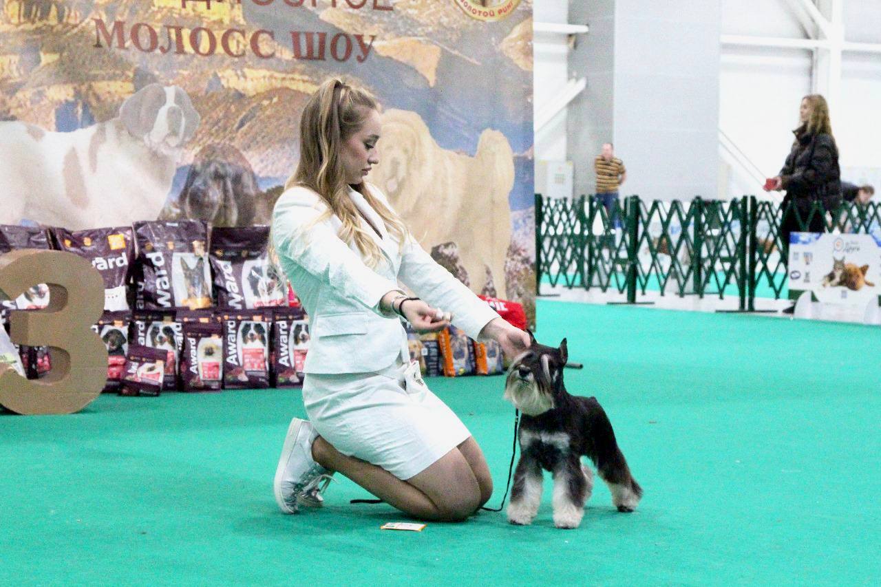 https://forumupload.ru/uploads/0013/26/e2/64/610556.jpg
