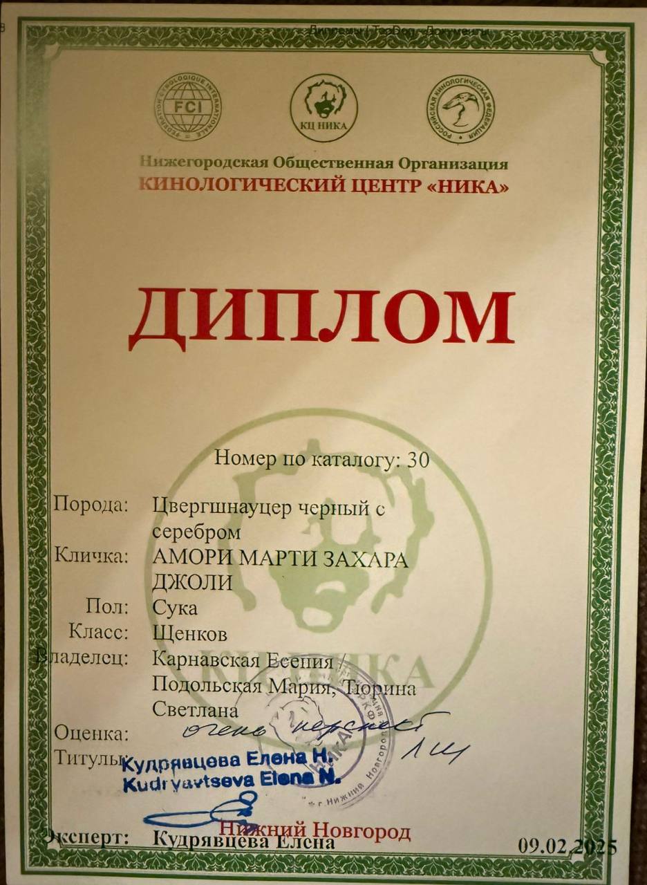 https://forumupload.ru/uploads/0013/26/e2/64/955200.jpg