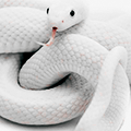https://forumupload.ru/uploads/0013/59/55/2/468078.png