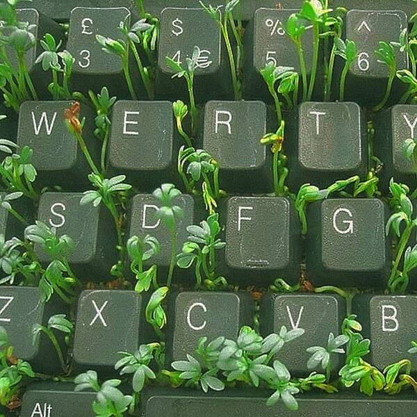 https://forumupload.ru/uploads/0013/d0/86/2/t179989.jpg