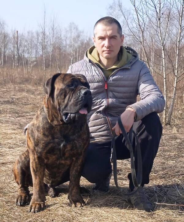 https://forumupload.ru/uploads/0014/0b/48/438/t366600.jpg