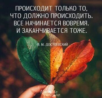 https://forumupload.ru/uploads/0014/14/57/2048/t566876.jpg