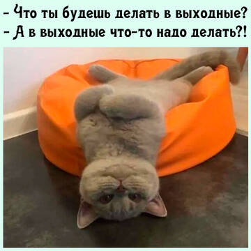 https://forumupload.ru/uploads/0014/14/57/2048/t568999.jpg