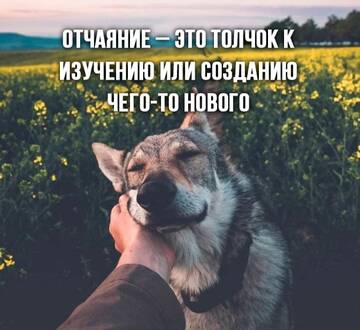 https://forumupload.ru/uploads/0014/14/57/2048/t730586.jpg