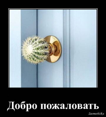 https://forumupload.ru/uploads/0014/1d/02/5/t527983.jpg