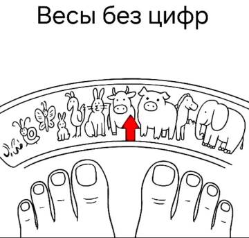 https://forumupload.ru/uploads/0014/1d/02/5/t637231.jpg