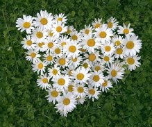https://forumupload.ru/uploads/0014/86/a5/13/t318708.jpg