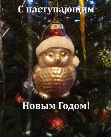 https://forumupload.ru/uploads/0014/87/81/15/t624543.jpg