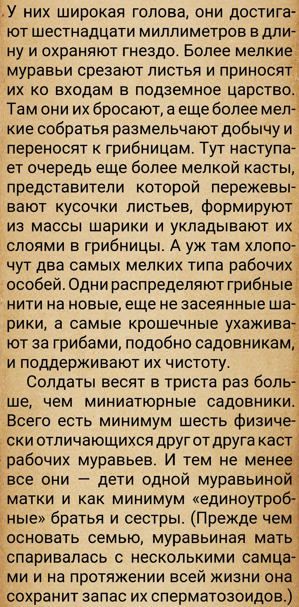 https://forumupload.ru/uploads/0014/97/f4/28/104048.jpg