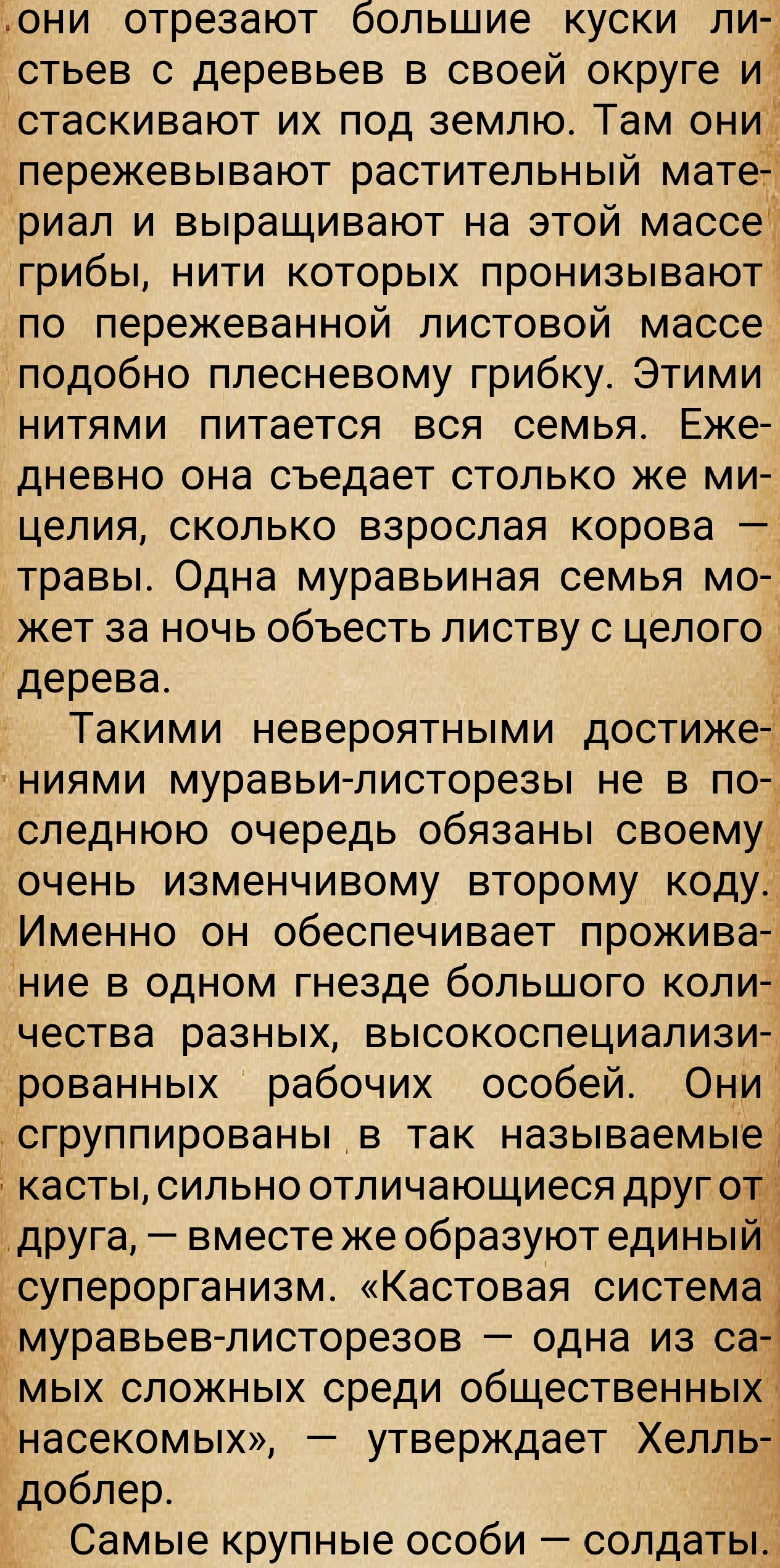 https://forumupload.ru/uploads/0014/97/f4/28/369243.jpg