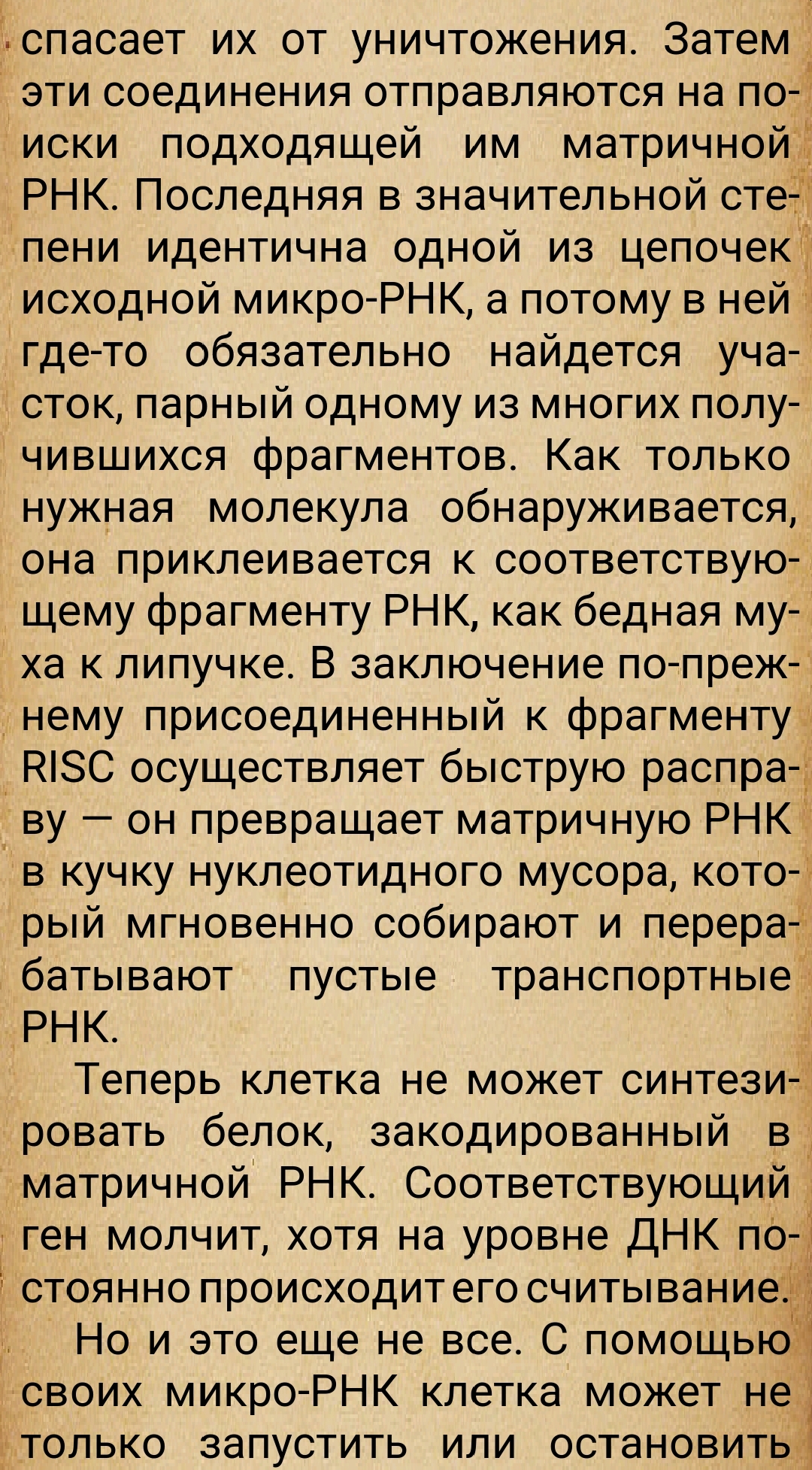 https://forumupload.ru/uploads/0014/97/f4/28/741788.jpg