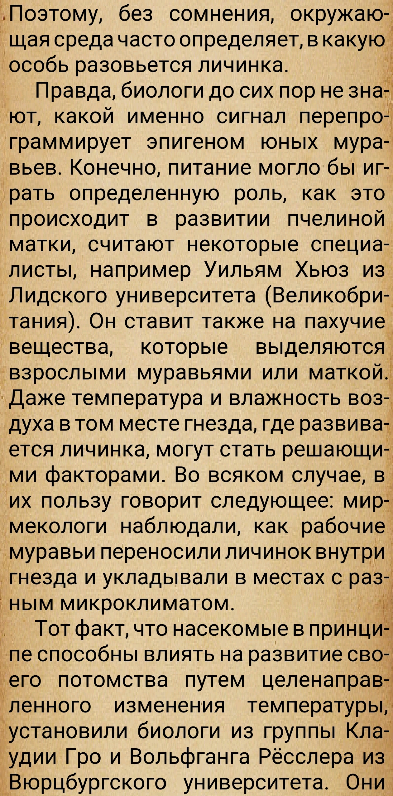 https://forumupload.ru/uploads/0014/97/f4/28/782718.jpg