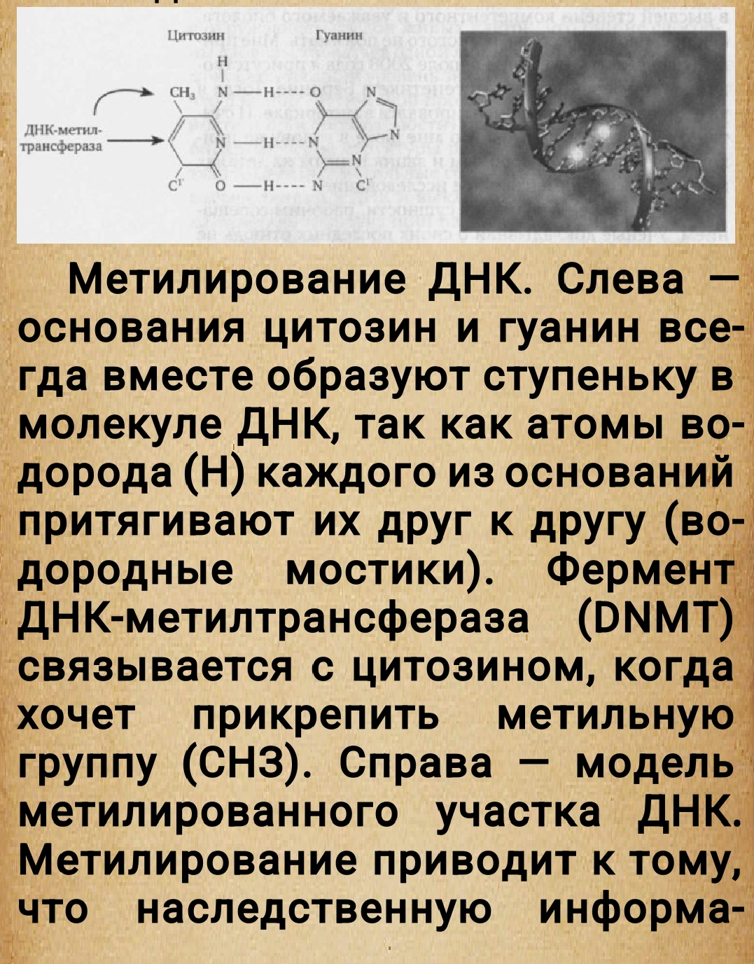 https://forumupload.ru/uploads/0014/97/f4/28/963726.jpg
