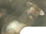 https://forumupload.ru/uploads/0014/d2/5e/14/272785.png