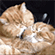 https://forumupload.ru/uploads/0014/eb/ea/423/490102.gif