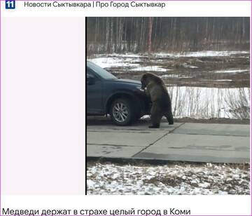 https://forumupload.ru/uploads/0015/ec/d4/2315/t384027.jpg
