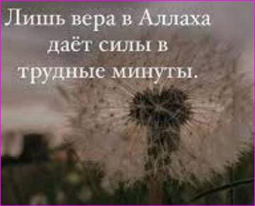 https://forumupload.ru/uploads/0015/ec/d4/2315/t636698.jpg