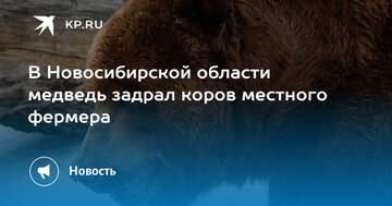 https://forumupload.ru/uploads/0015/ec/d4/2315/t804508.jpg