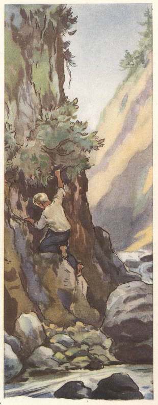 https://forumupload.ru/uploads/0015/ec/e0/2346/553535.png