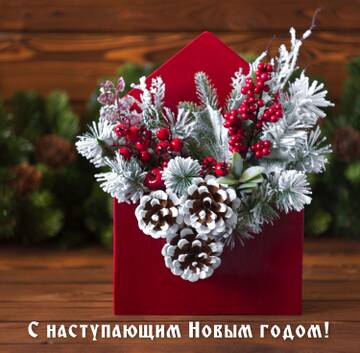 https://forumupload.ru/uploads/0015/f8/d0/247/t97567.jpg