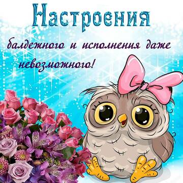 https://forumupload.ru/uploads/0016/5f/70/61/t348304.jpg