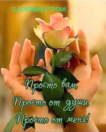 https://forumupload.ru/uploads/0016/5f/70/61/t891177.jpg
