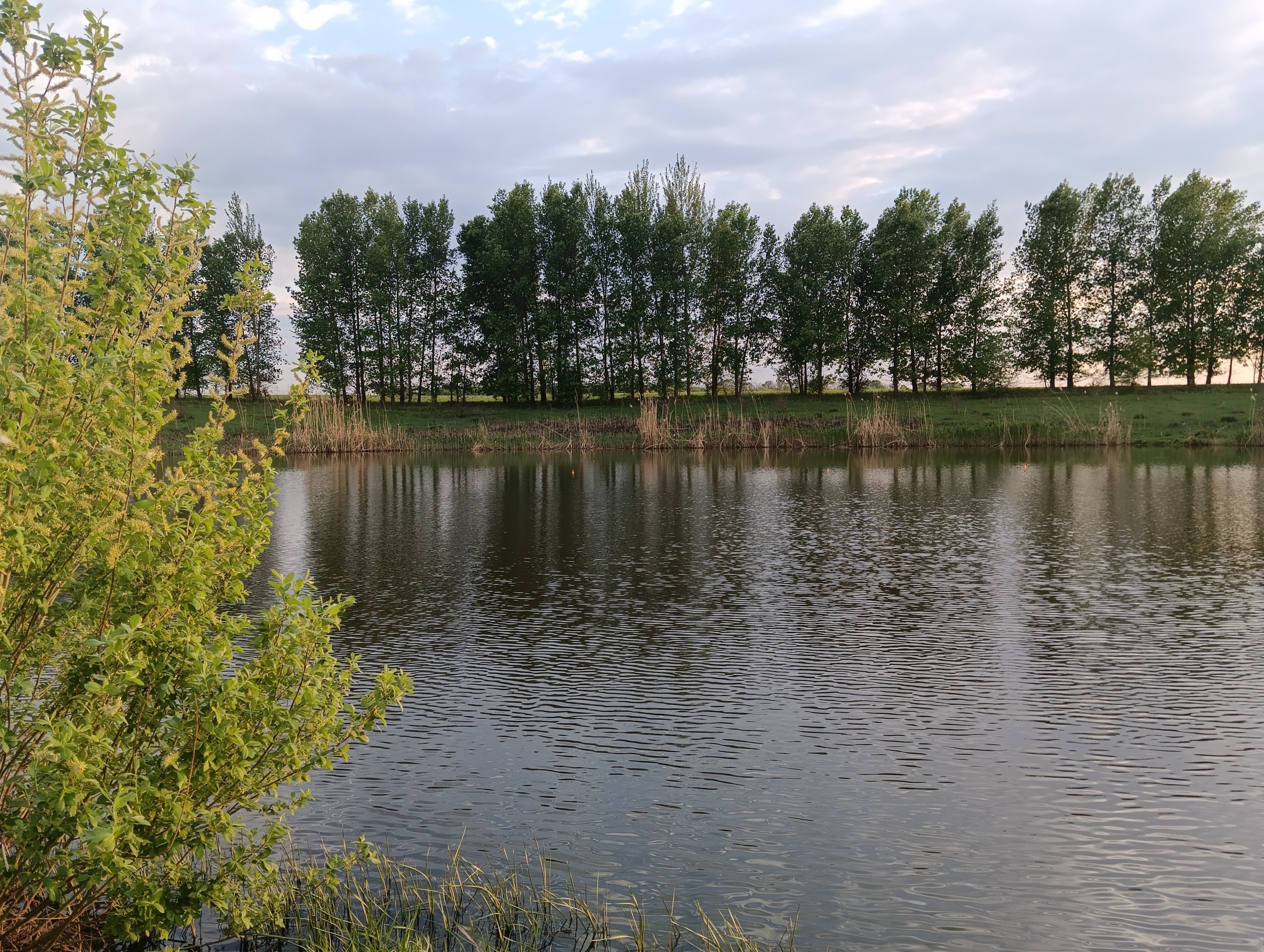 https://forumupload.ru/uploads/0017/28/55/1329/504240.jpg