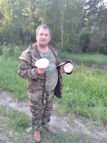 https://forumupload.ru/uploads/0017/28/55/2487/t156553.jpg