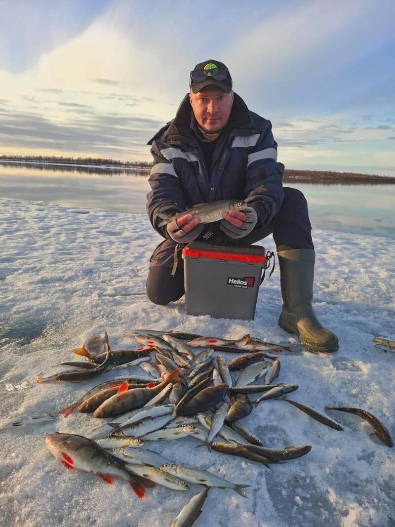 https://forumupload.ru/uploads/0017/28/55/382/476986.jpg