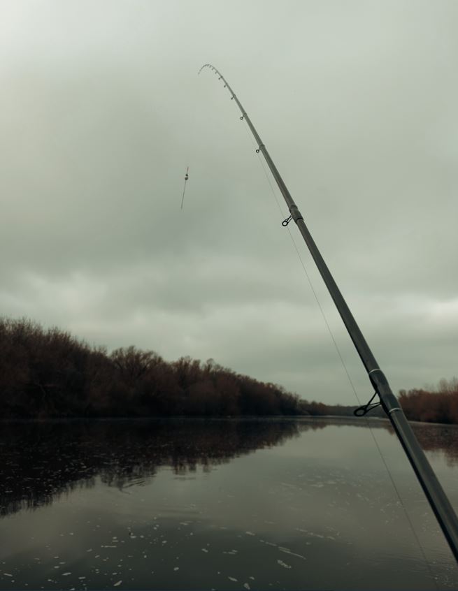 https://forumupload.ru/uploads/0017/28/55/382/500354.jpg