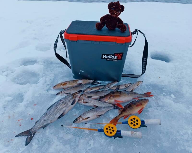 https://forumupload.ru/uploads/0017/28/55/382/502654.jpg