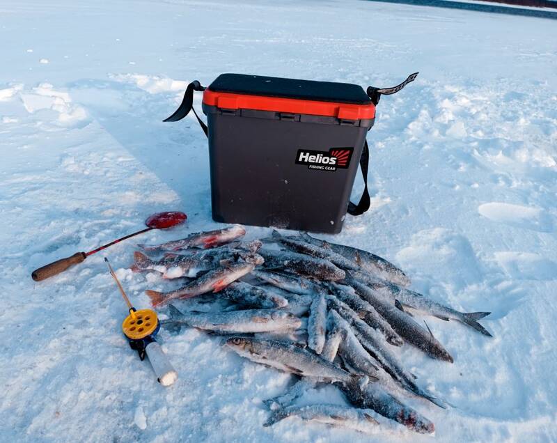 https://forumupload.ru/uploads/0017/28/55/382/919291.jpg