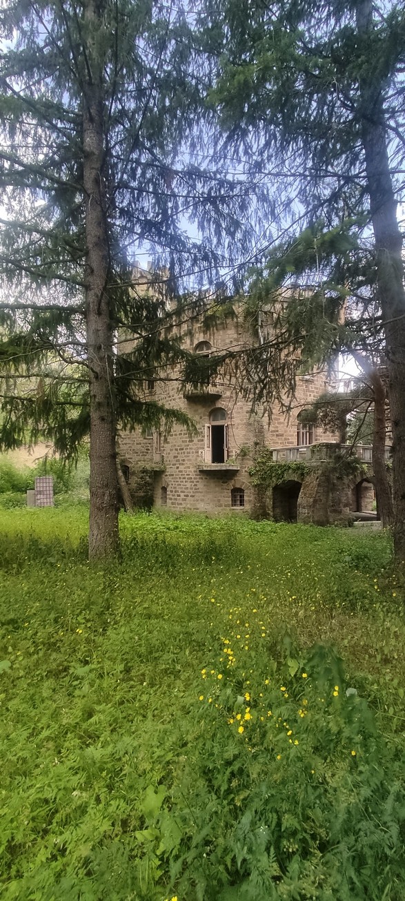 https://forumupload.ru/uploads/0017/d2/91/173/567005.jpg